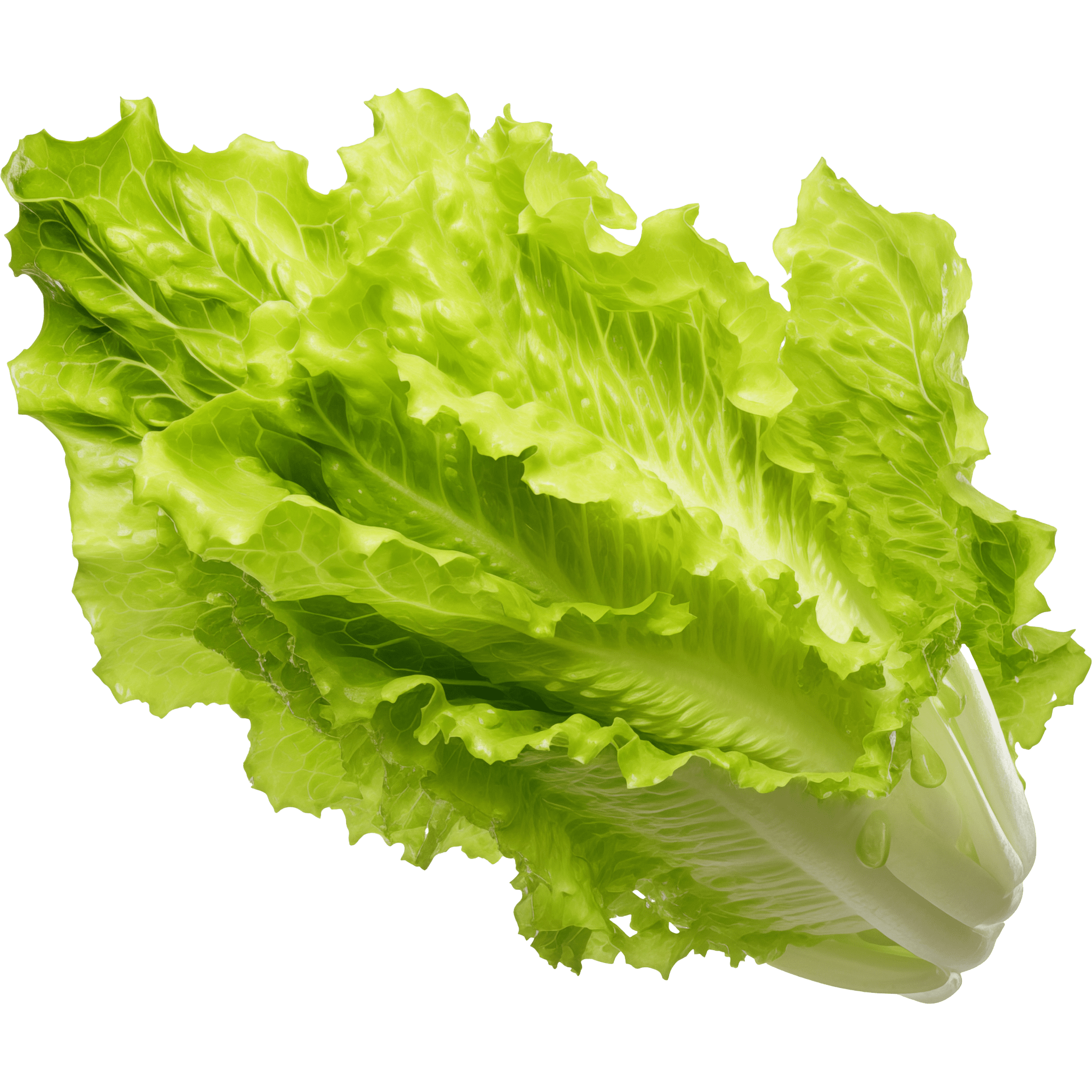 Ingredient 1